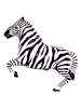 Zebra Black